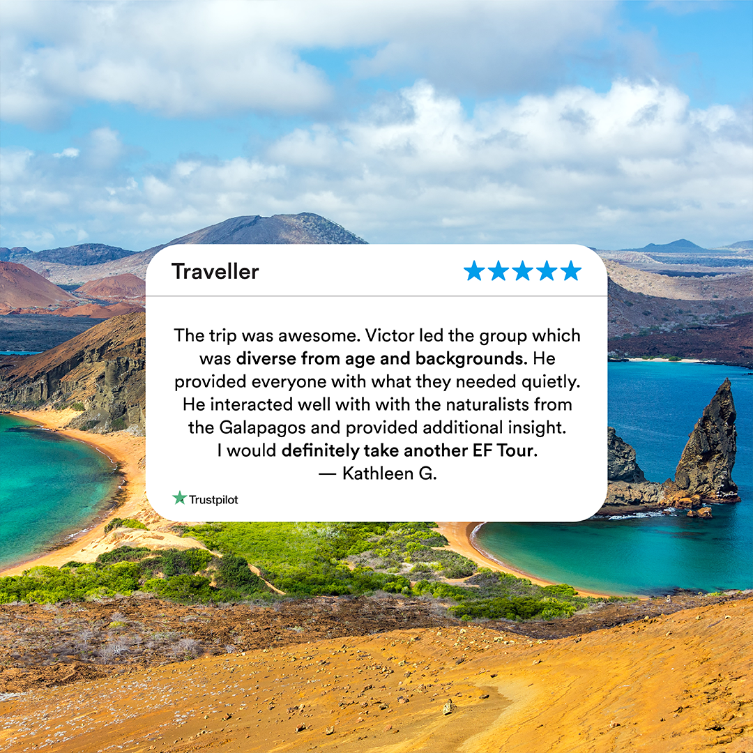 TrustPilot-Review-IG-Post-03